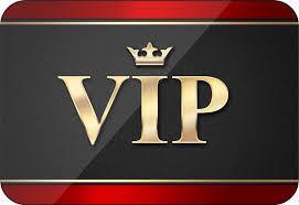 $99.95 Programa VIP