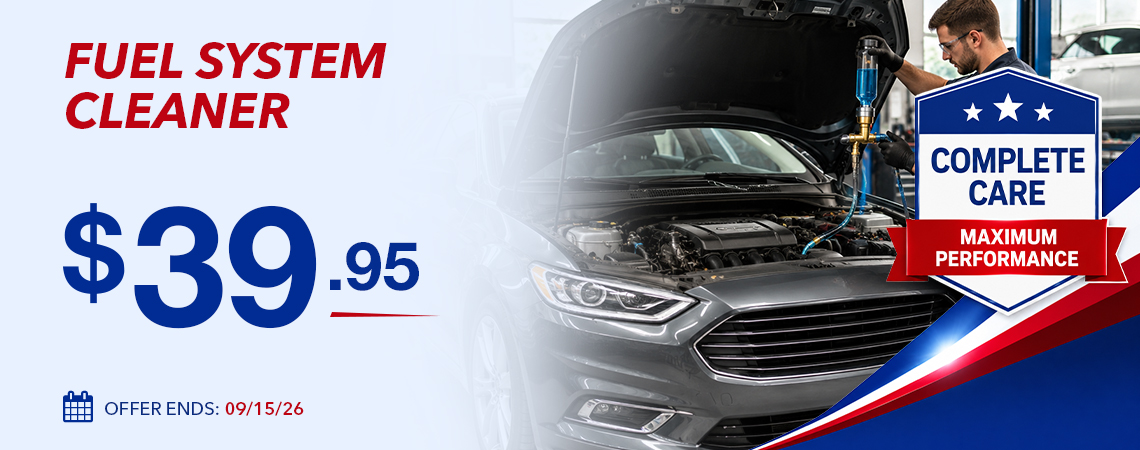 FUEL SYSTEM CLEANER- $39.95