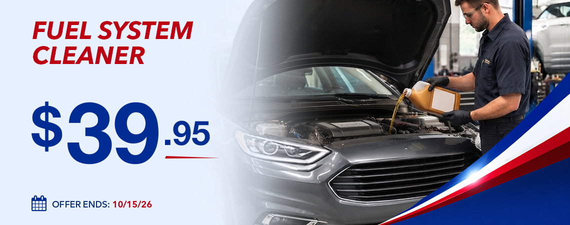 FUEL SYSTEM CLEANER- $39.95