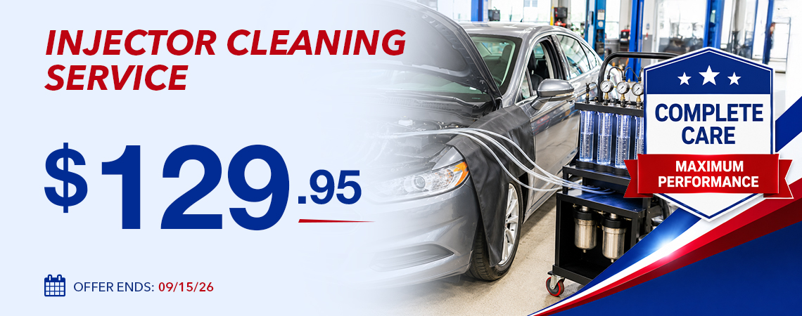 INJECTOR CLEANING SERVICE - $129.95 