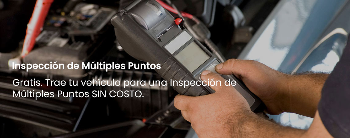 INSPECCIÓN MULTIPUNTO