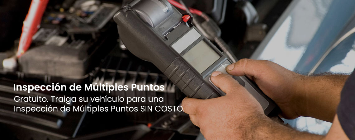  INSPECCIÓN MULTIPUNTO