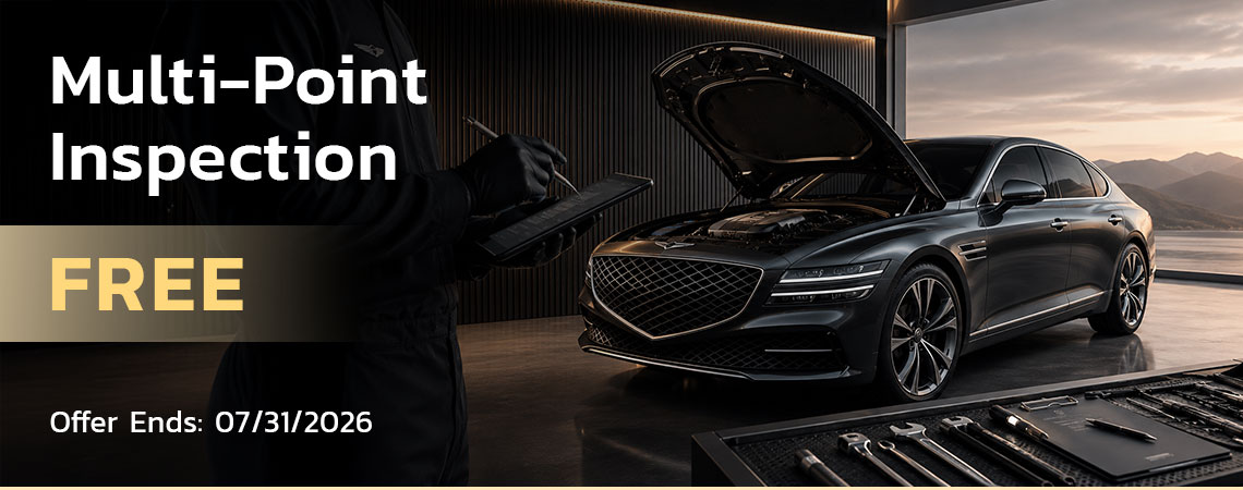 MULTI-POINT INSPECTION SPECIAL