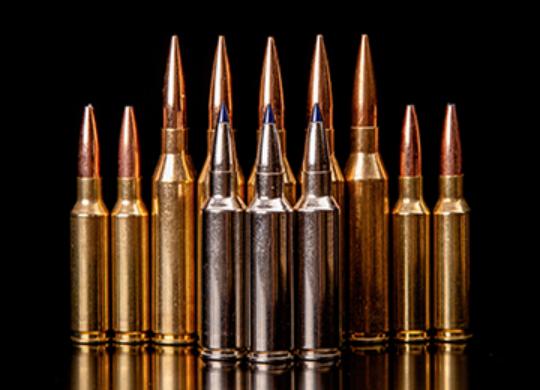 Cal 300 Norma Magnum 