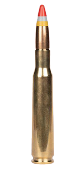 bullet image