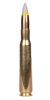 bullet image