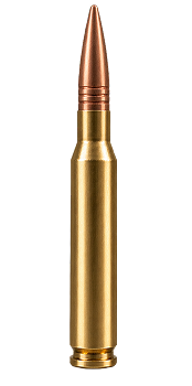bullet image