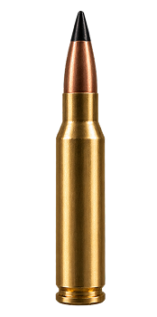 bullet image