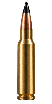 bullet image